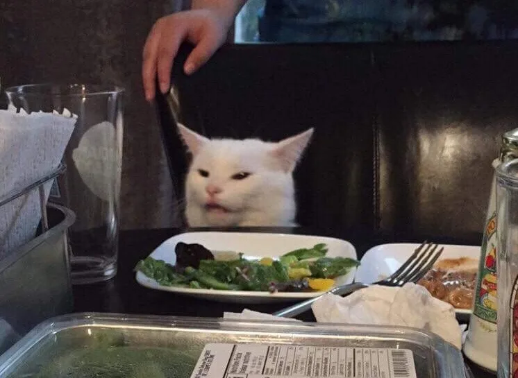 The original Smudge photo, posted before the two-panel meme.
