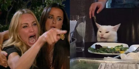 Woman yelling at a cat