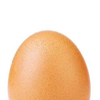 Just An Egg 🥚 on Instagram: "Let’s set a world record together and get the most liked post on Instagram. Beating the current world record held by Kylie Jenner (18 million)! We got this 🙌…