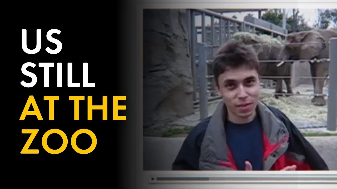 Us Still At the Zoo | World Animal Protection US